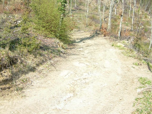 IMG 0985